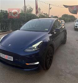 تسلا موديل Y